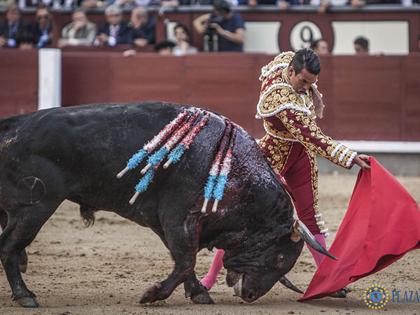 Remate de Manzanares