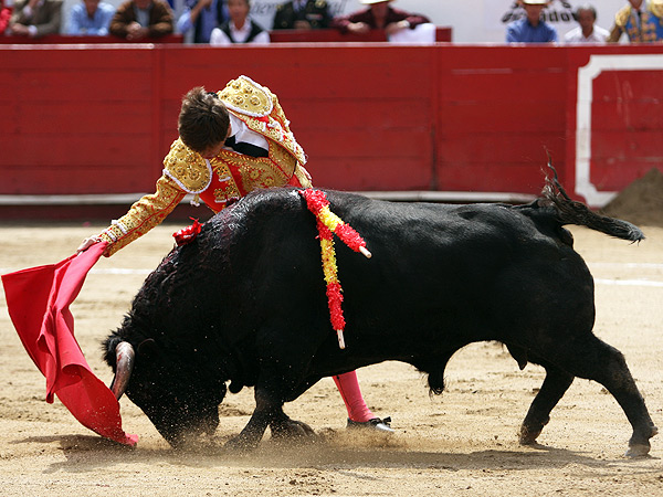 Sometiendo la embestida