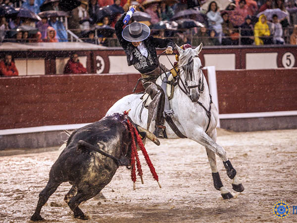 Ejecuci�n al estribo