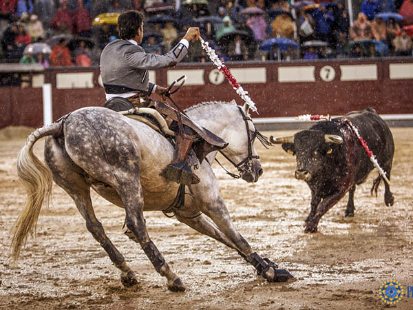 Enmedio del barrizal