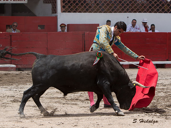 Alejandro Fernndez, tarde difcil