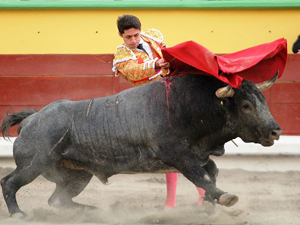 Pasndose todo el toro