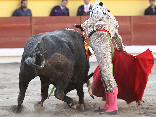 Calidad y buen gusto