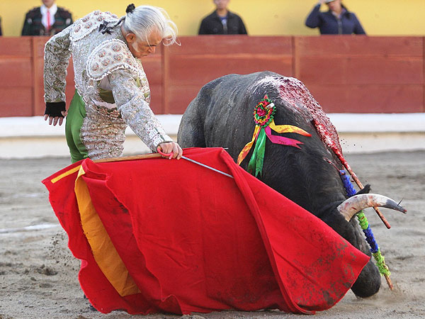 Llevndolo muy toreado