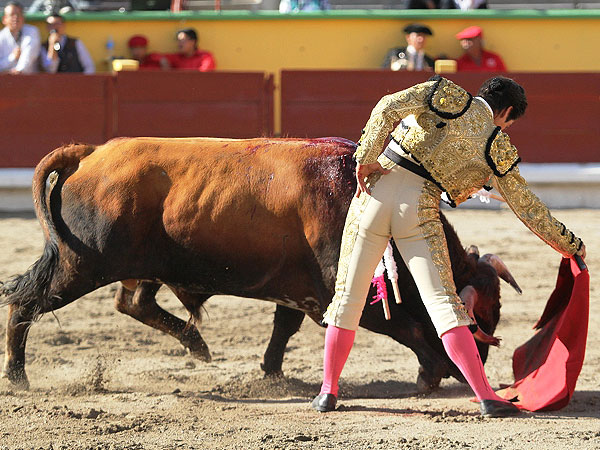 Calidad en la embestida