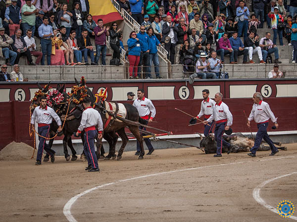 Arrastre lento al ejemplar