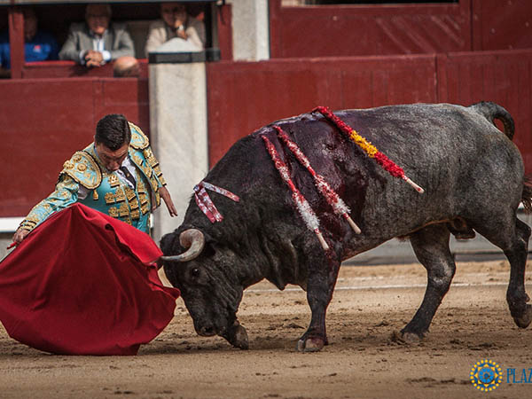 Sentidas tandas por el derecho