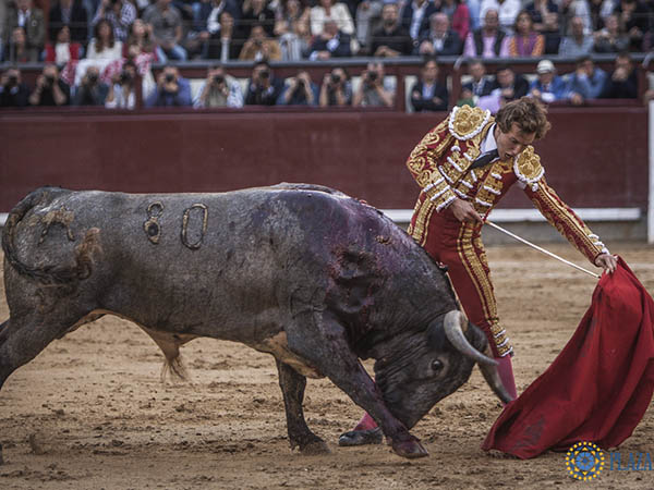 Por el pitn izquierdo