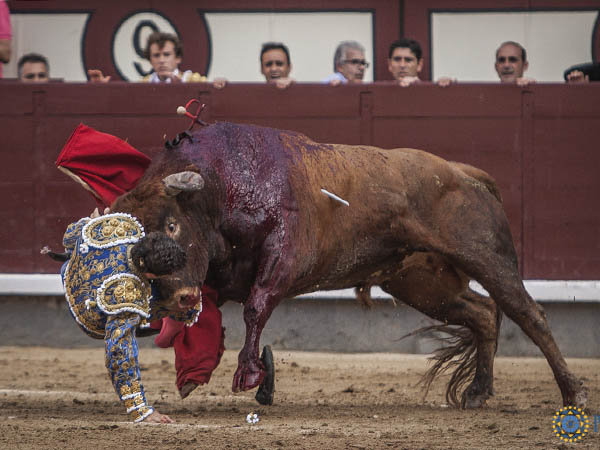 A merced del colorado