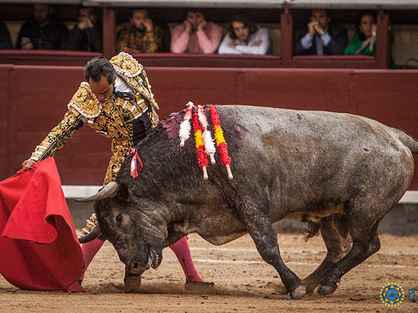 Determinaci�n de Luis