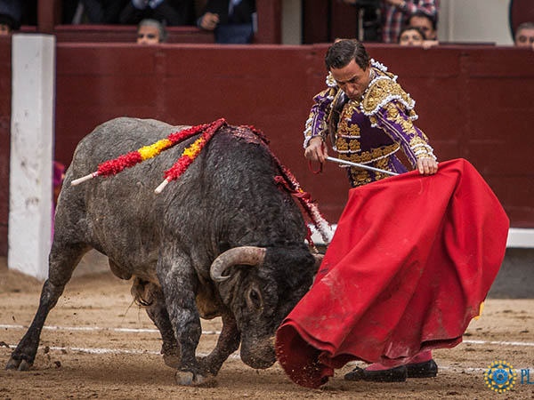 Dominio de las alturas