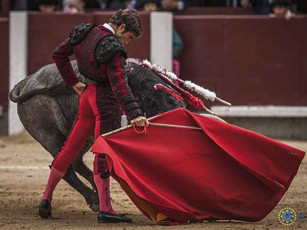 Sentimiento en las tandas