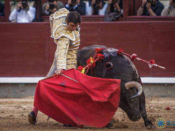 Sentimiento extreme�o