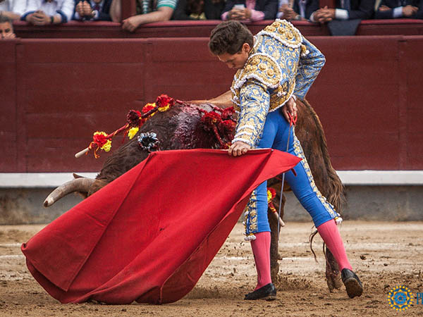 Extensi�n al muletazo