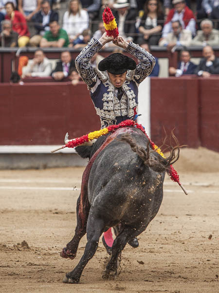 En la cara del ejemplar