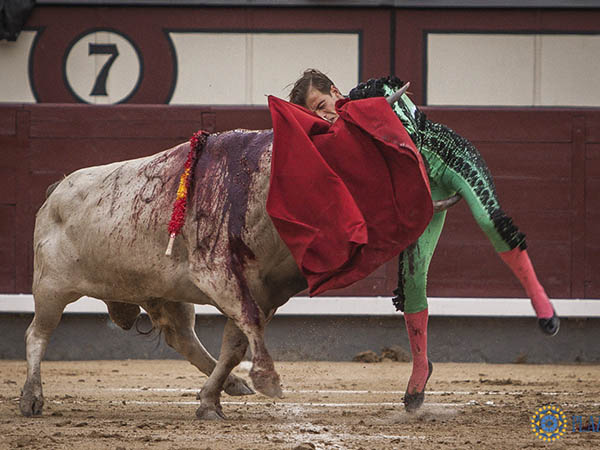 El pit�n en el muslo