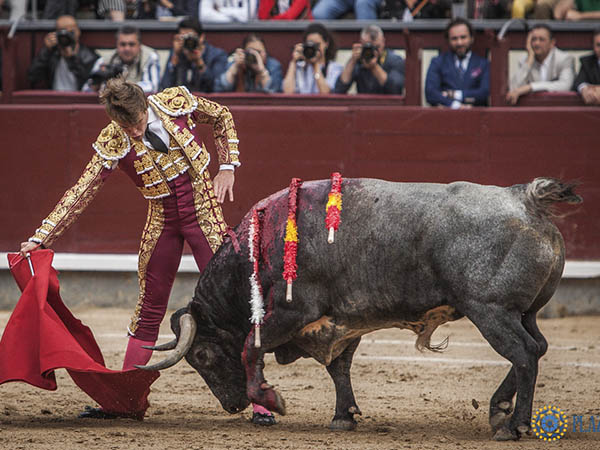 La faena al c�rdeno