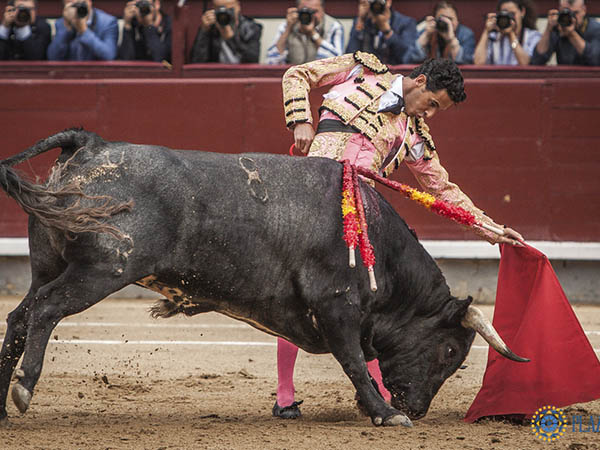 Con las yemas de los dedos