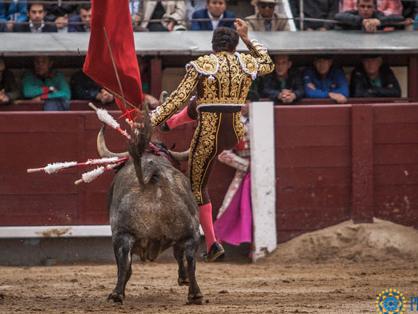 Herido en la lidia