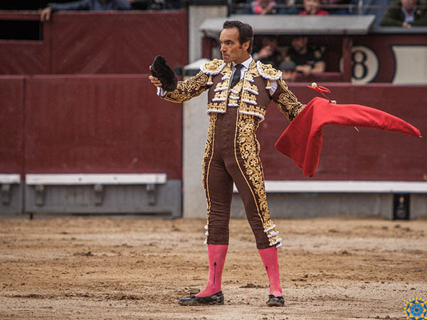 Brindis a los tendidos
