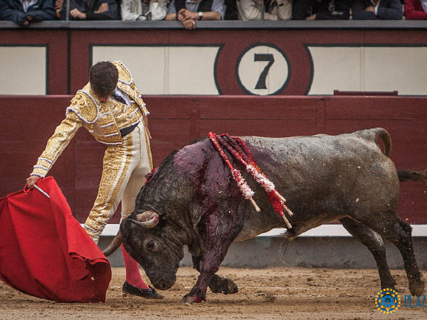 Sobre las rayas del tercio
