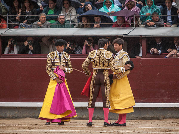 S�nchez, toricantano