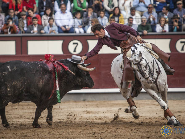 Sombrero en el testuz