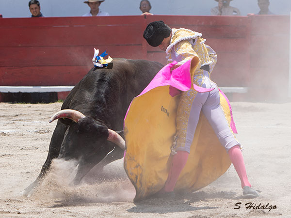 Ibelles, grandes avances