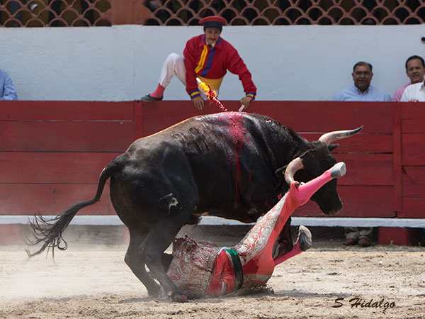 La crudeza de la fiesta