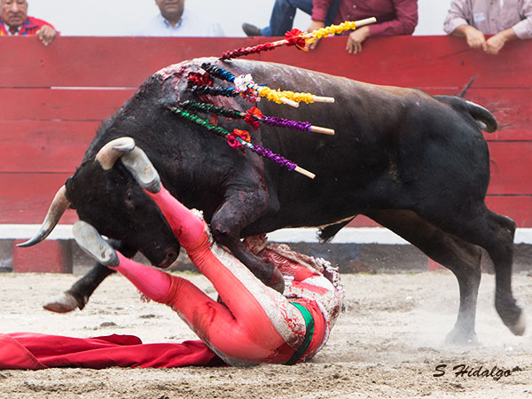 Rom�n, en serio peligro