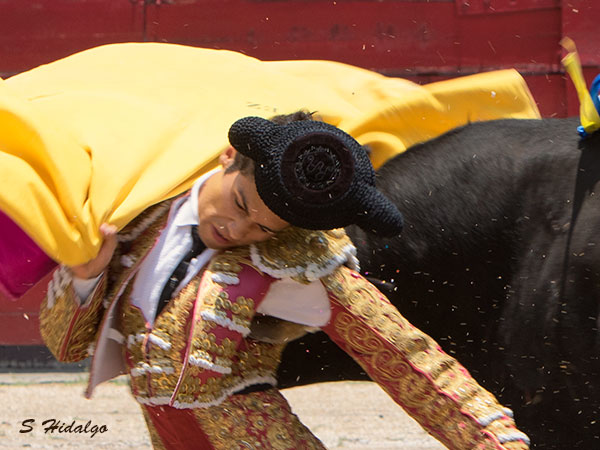 El drama de la fiesta brava