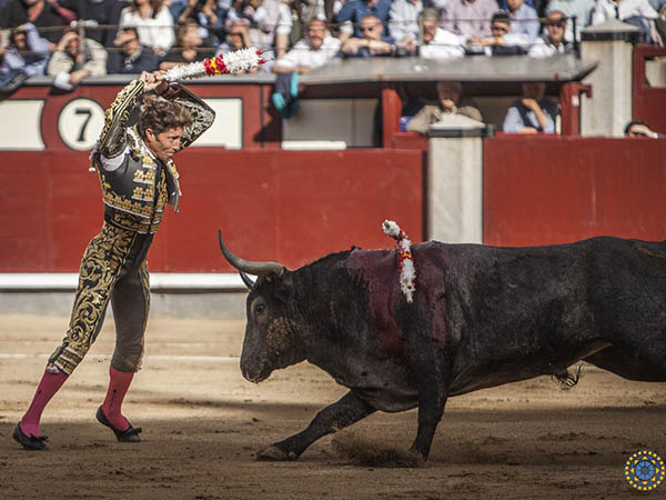 Cuadrando en la cara