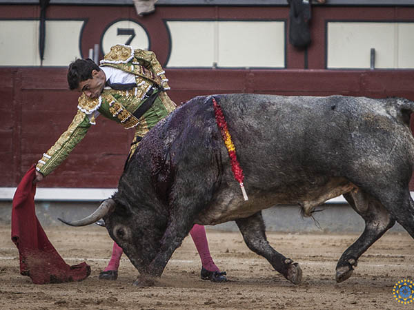 Sentidas tandas por el derecho