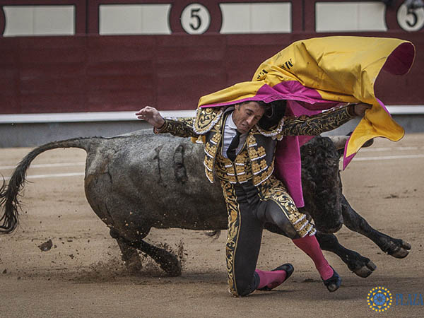 Momento de tensi�n