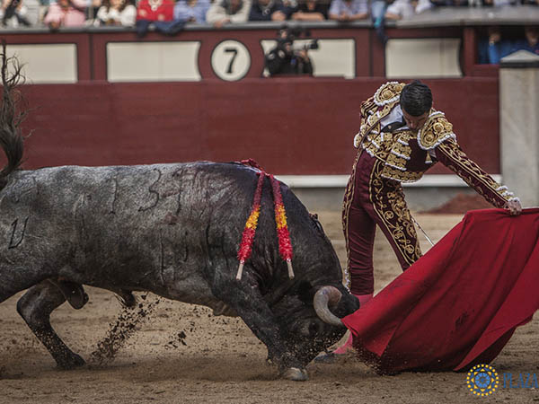 Mejor por el izquierdo