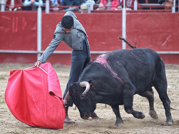 Luci� el mexicano en Espa�a