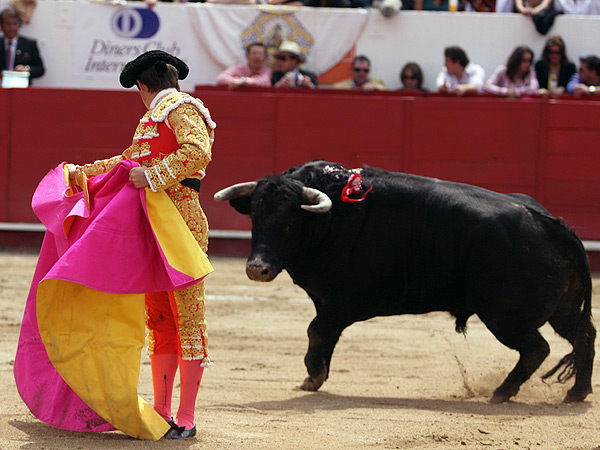 Aplomo, antes de la tafallera