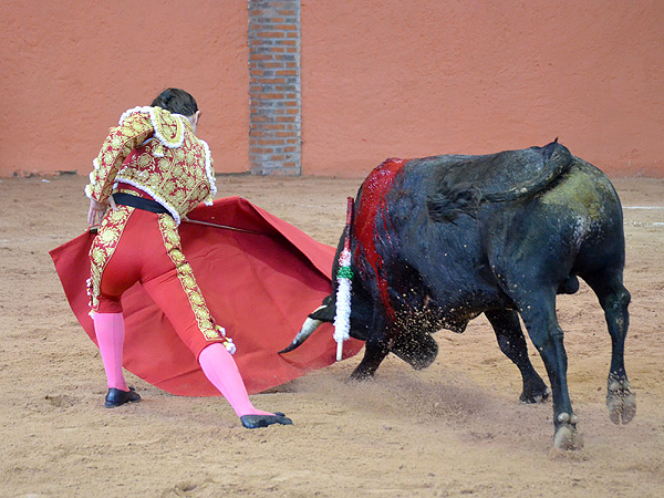 Sainz y su buena t�cnica