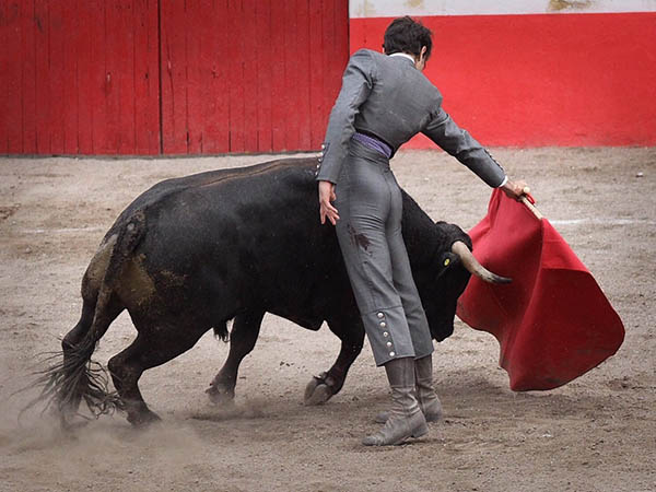 Llev�ndolo toreado