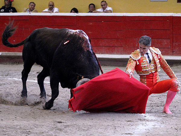 Metido en la muleta
