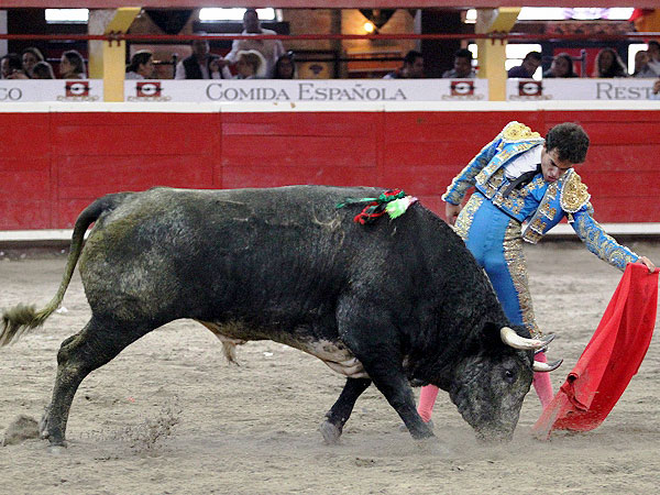 Templando el natural