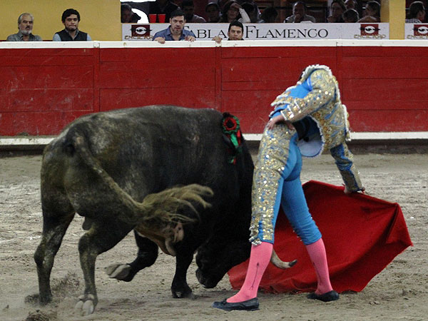 Calidad en la embestida