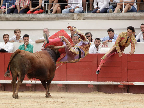 El pit�n en el muslo