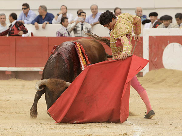 Determinaci�n de El Galo