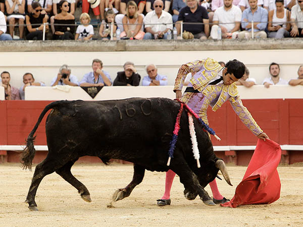 Franco en la embestida