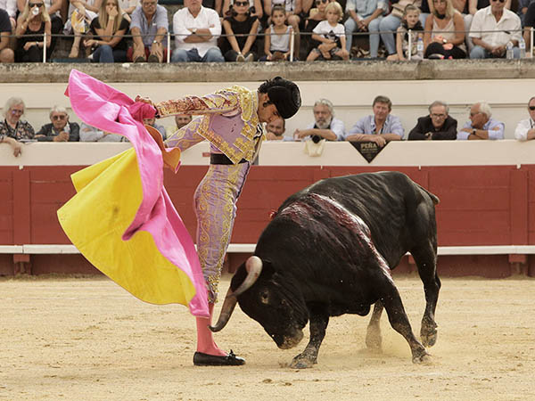 Evocando al Indio Grande