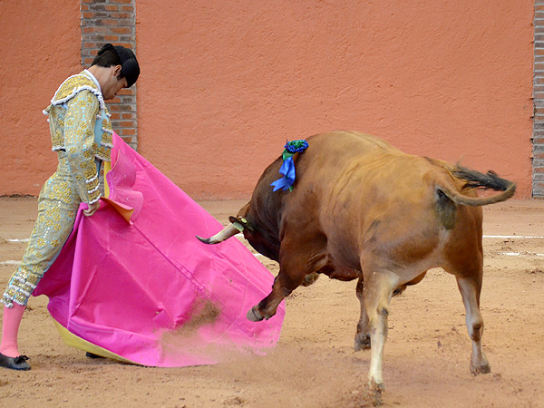 Mart�nez abre plaza