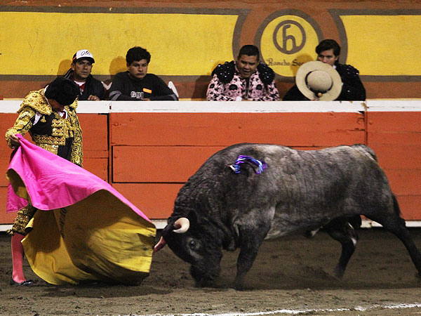 La cadencia de Jer�nimo