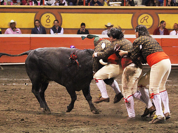 Forcados de Mazatl�n