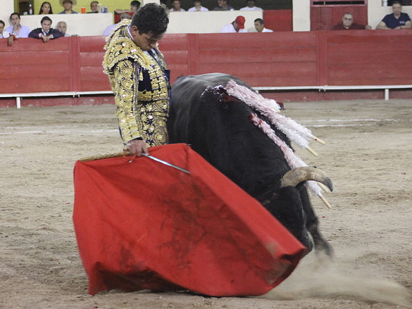 Un gran muletazo